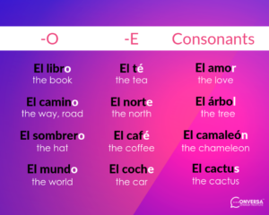 CONVERSA che gli oggetti inanimati hanno un genere