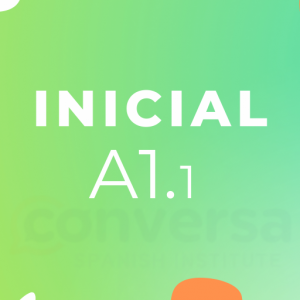 Intensivo A1 Online